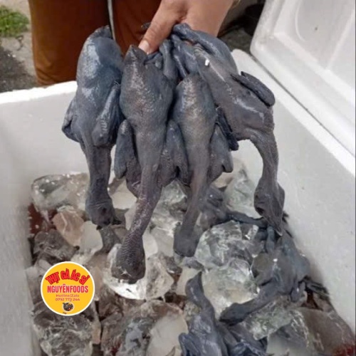 Thịt gà ác 180g - 200g (10 con trở lên)