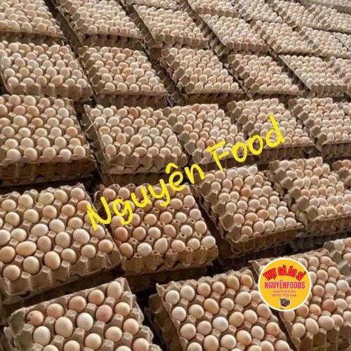 Trứng gà ác (vỉ)